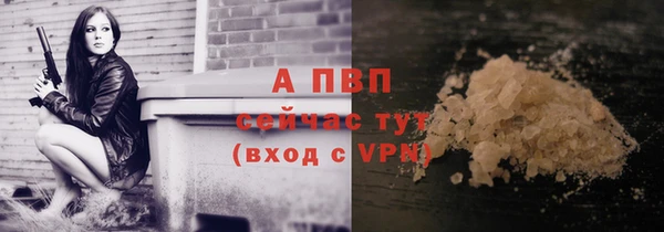 круглые Белокуриха