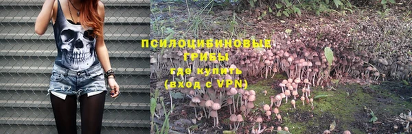 круглые Белокуриха