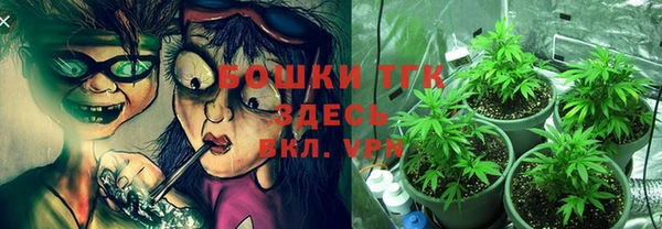 стаф Белоозёрский