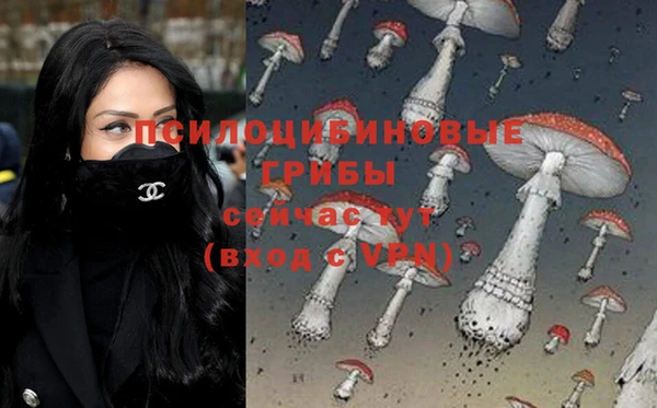 МДПВ Беломорск