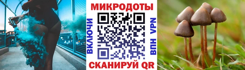 Псилоцибиновые грибы прущие грибы  Гаджиево 