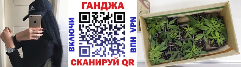 Каннабис марихуана  закладка  Гаджиево 